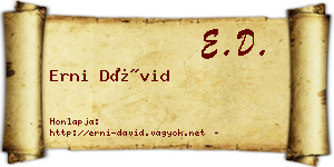 Erni Dávid névjegykártya
